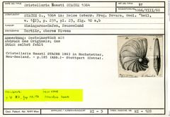 Karteikarte zum Holotyp von Cristellaria haasti Stache, 1864